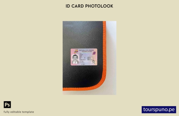 Plantilla FRONTAL lista para imprimir con aspecto fotográfico de identificaci 31
